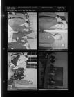 Rally photographs (4 Negatives), August - December 1956, undated [Sleeve 18, Folder h, Box 11]